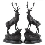 After Jules Moigniez, pair of large patinated bronze stags, each raised on a shaped carved marble