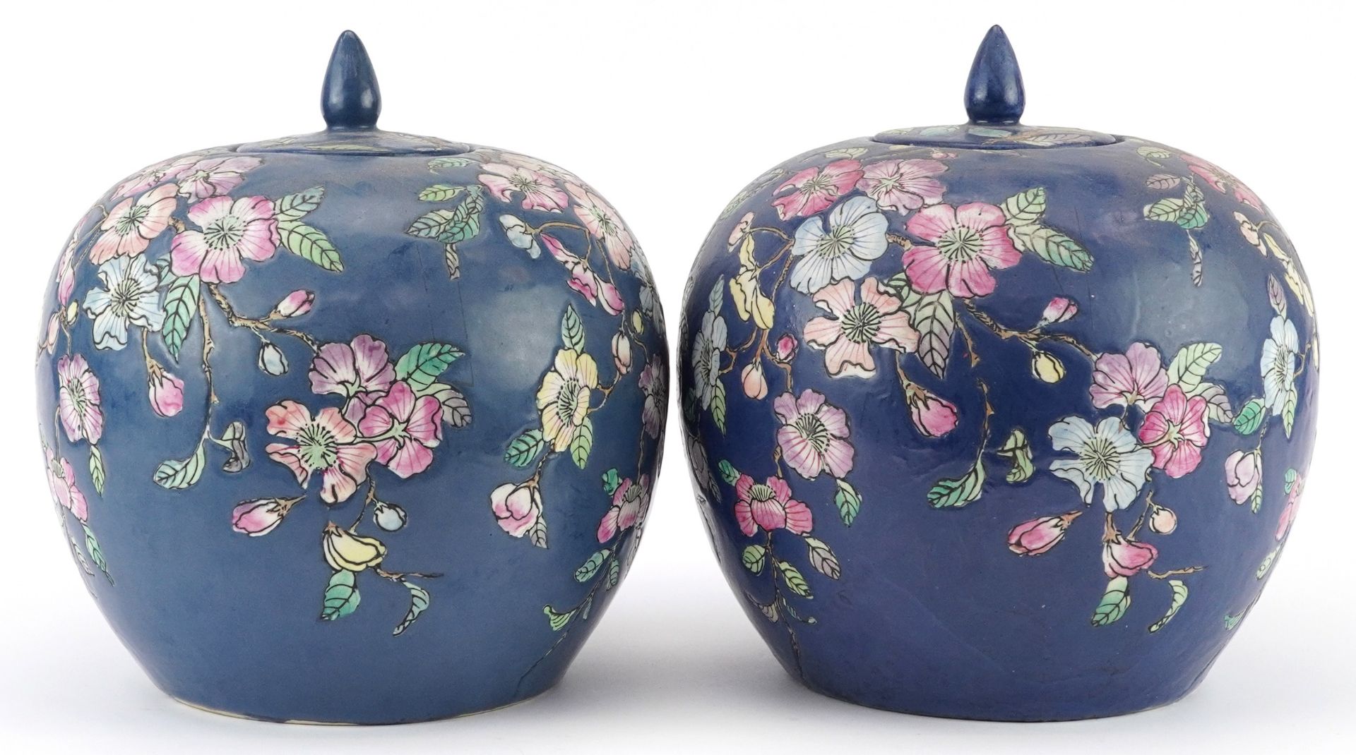 Pair of Chinese porcelain jars and covers hand painted with flowers, each 25.5cm high - Image 4 of 8