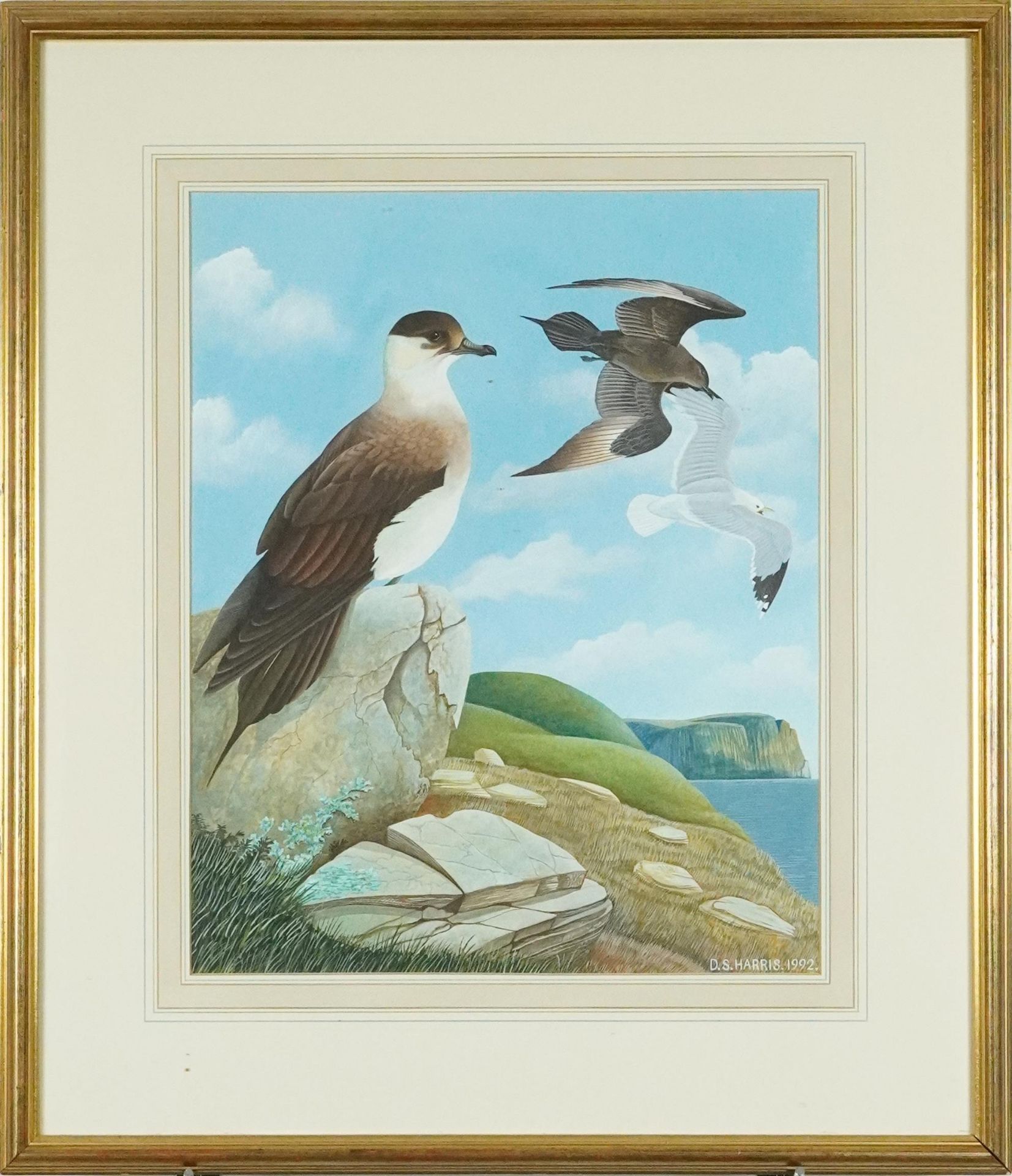 D S Harris 1992 - Coastal scene with gulls, wildlife interest watercolour, mounted, framed and - Bild 2 aus 4