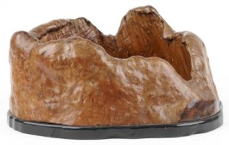 Japanese burled elm Hibachi planter, 42cm wide