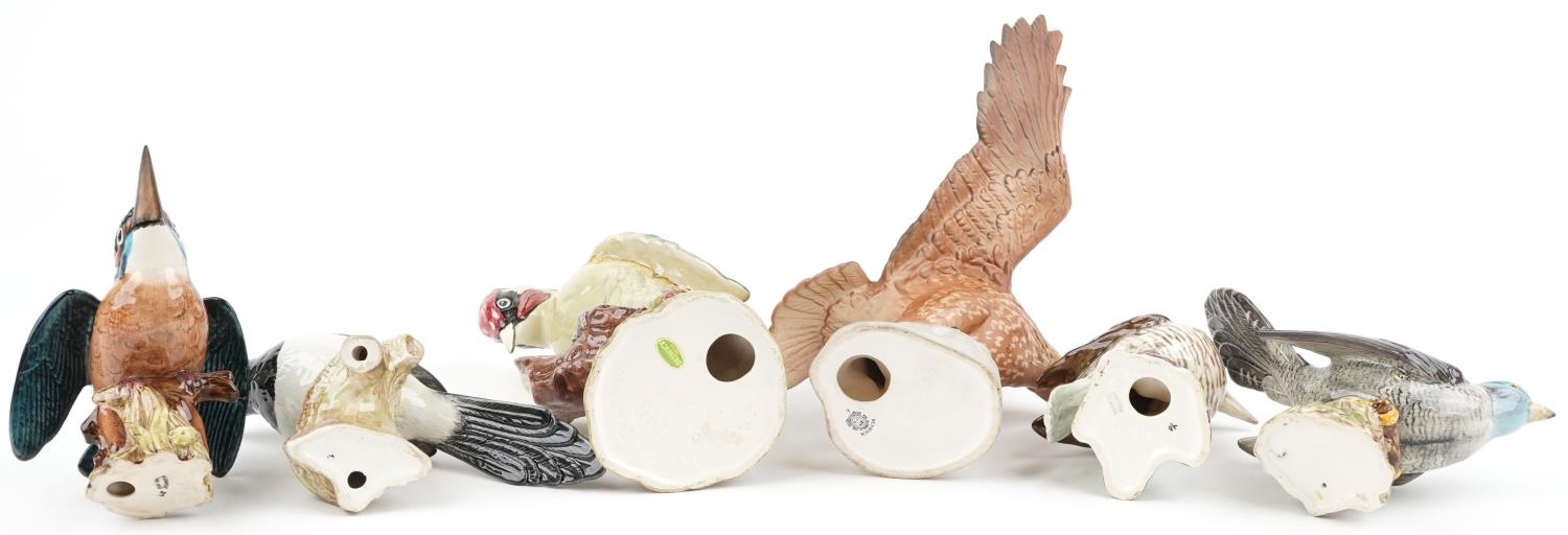 Six Beswick birds including Golden Eagle and Woodpecker, the largest 26cm high - Image 5 of 5