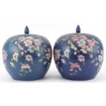 Pair of Chinese porcelain jars and covers hand painted with flowers, each 25.5cm high