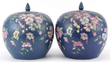 Pair of Chinese porcelain jars and covers hand painted with flowers, each 25.5cm high