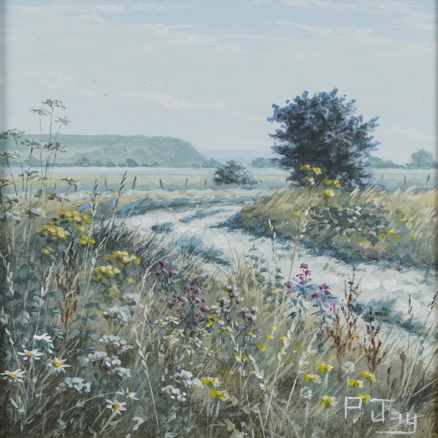 Peter Jay - Snow, Track on the Marsh and Summer on the South Downs, three oil on boards including - Image 14 of 20