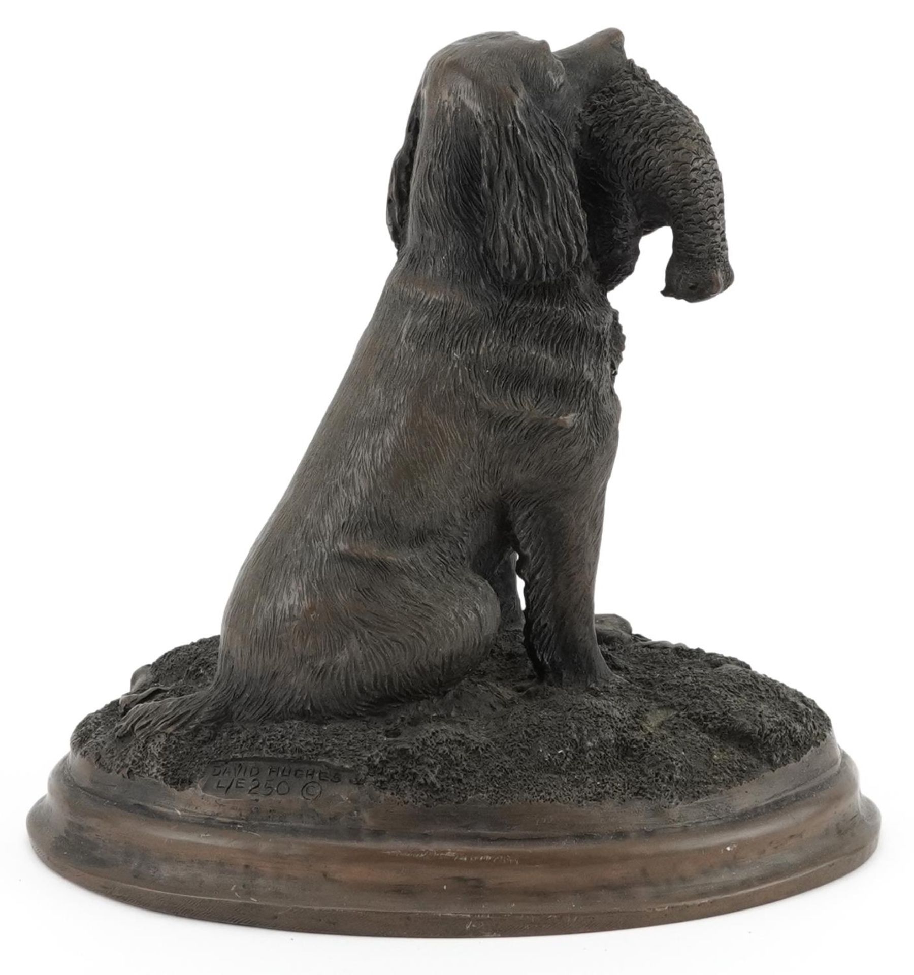David Hughes, contemporary cold cast bronze statue of a gundog with it's catch, limited edition of - Image 3 of 5