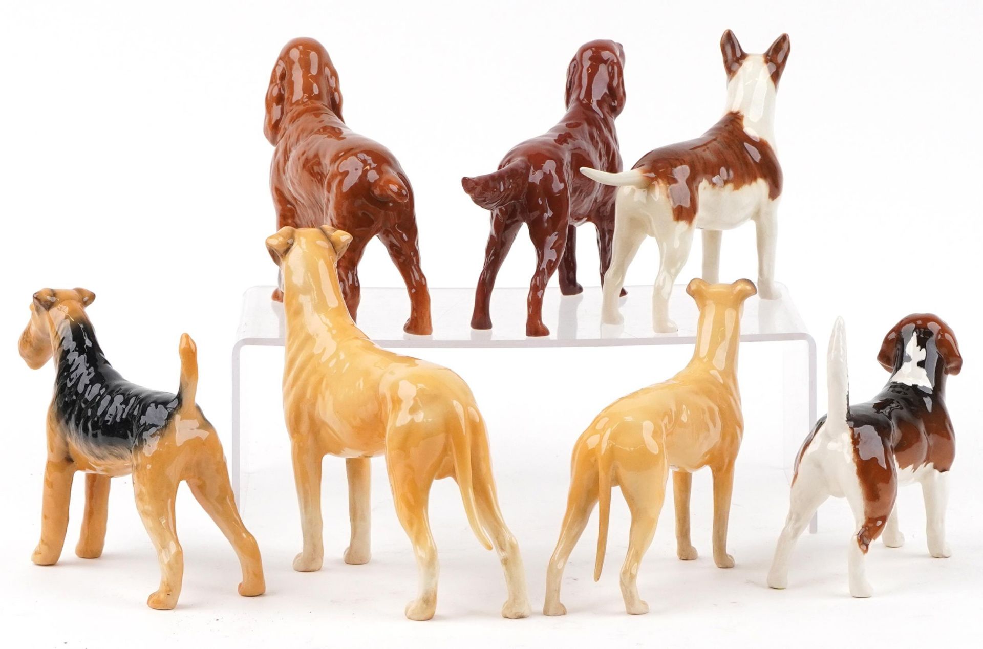 Eight Beswick collectable dogs, some champions comprising Horseshoe Primula, Ruler of Duborough, - Bild 2 aus 6