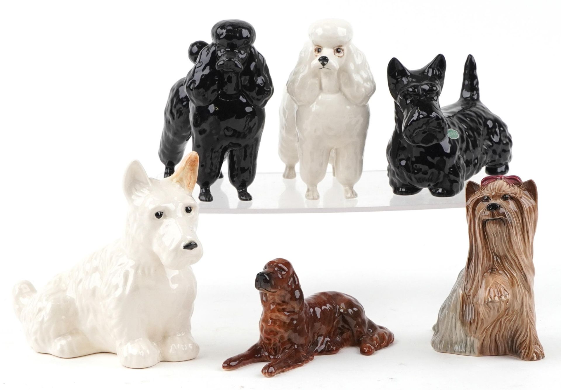 Six Beswick collectable dogs comprising two Poodles, Yorkshire Terrier, Red Setter and two Terriers,