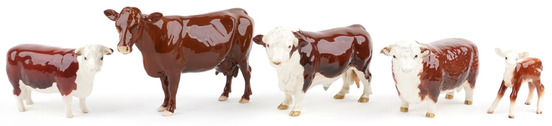 Five Beswick collectable cattle including Red Poll cow, two Ch of Champions Hereford bull and Polled