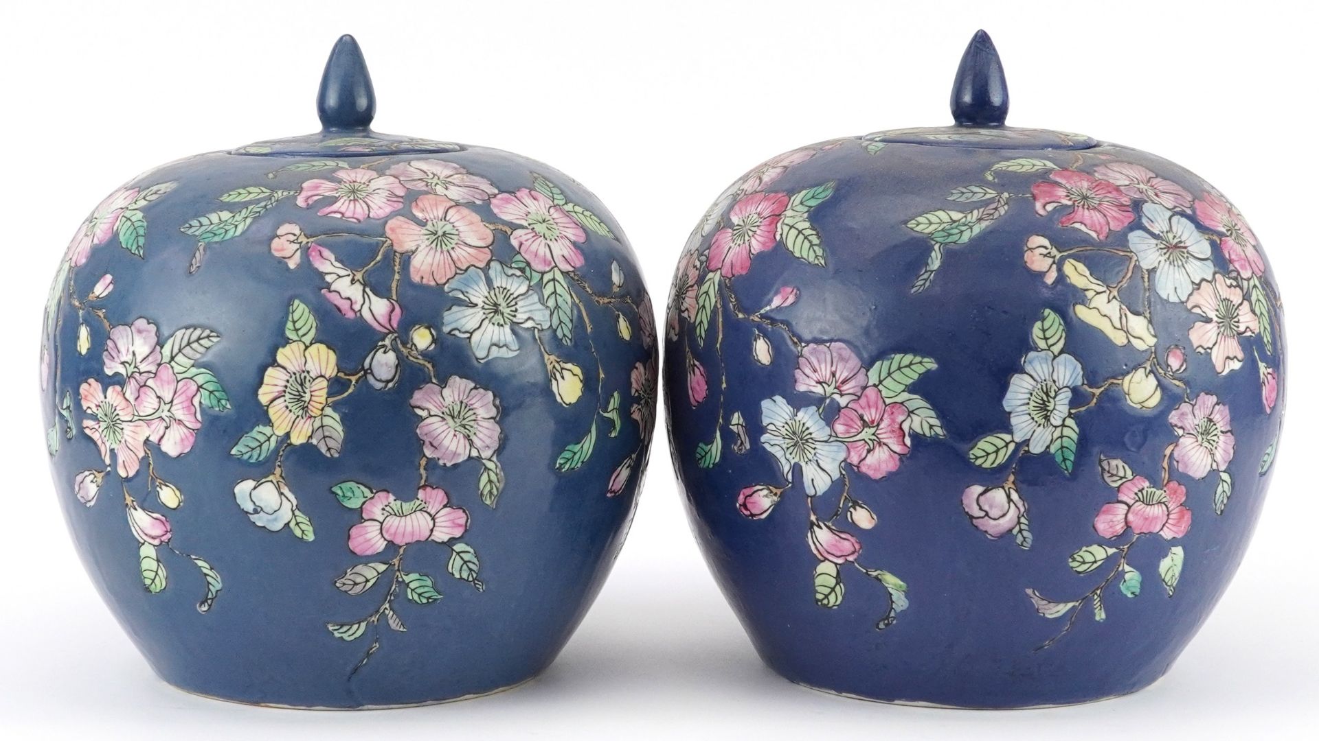 Pair of Chinese porcelain jars and covers hand painted with flowers, each 25.5cm high - Image 2 of 8