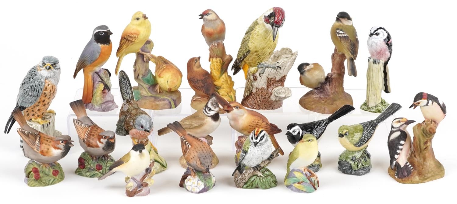 Collection of Royal Worcester and Mack hand painted porcelain birds including Redstart, Nightingale,
