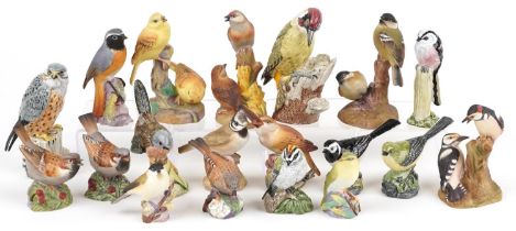 Collection of Royal Worcester and Mack hand painted porcelain birds including Redstart, Nightingale,