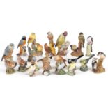 Collection of Royal Worcester and Mack hand painted porcelain birds including Redstart, Nightingale,