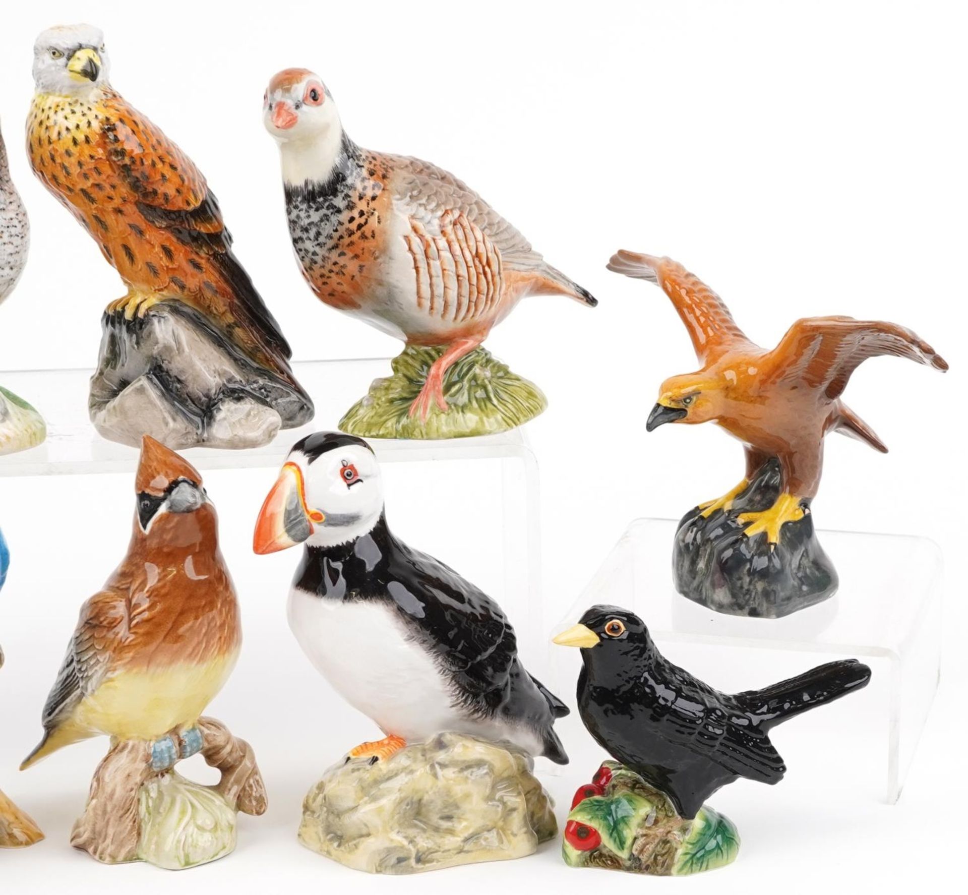 Ten Beswick birds including a Puffin, Eagle and Grouse, the largest 12.5cm wide - Image 3 of 4