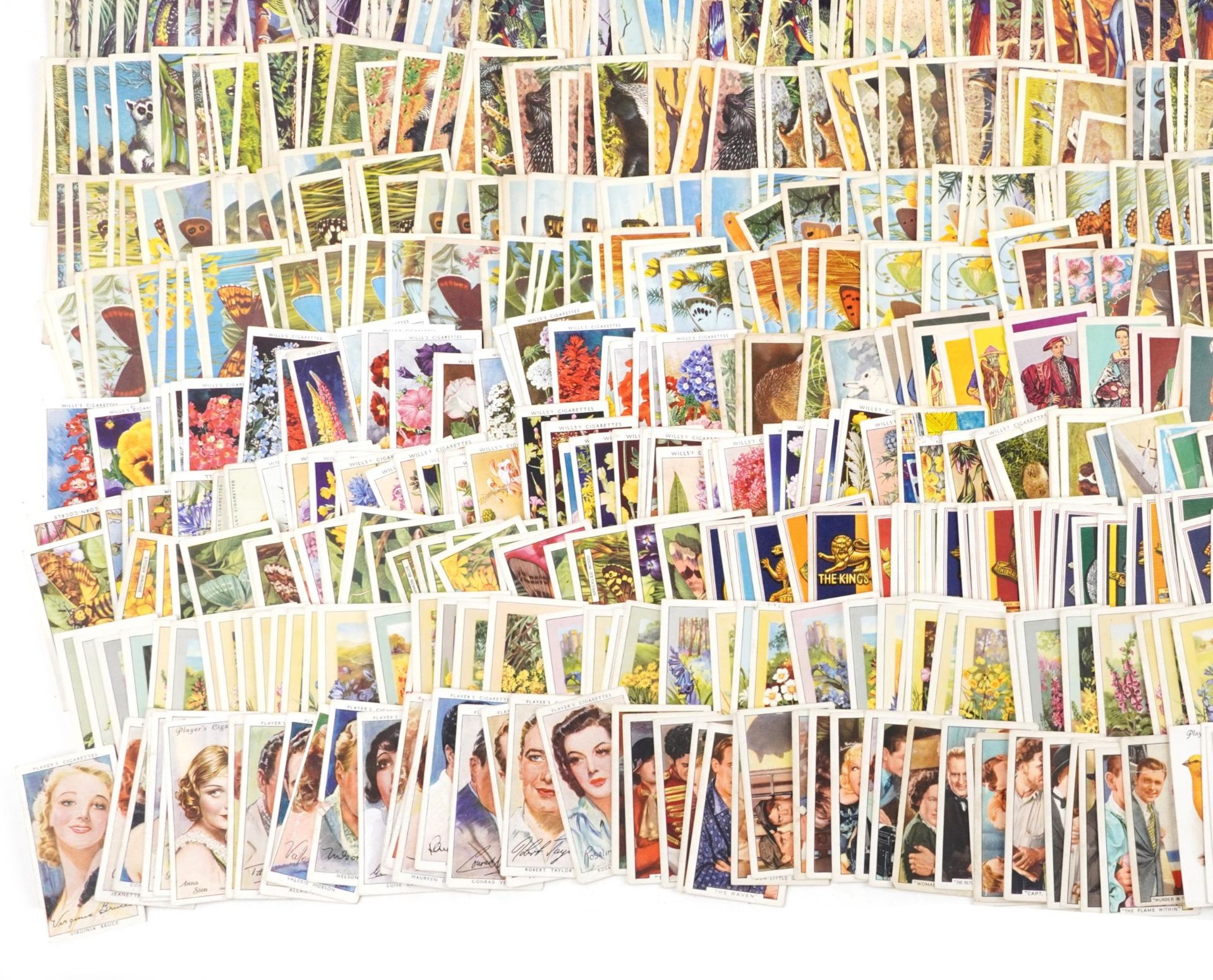 Extensive collection of cigarette cards including Brooke Bond Asian Wildlife, Carreras Film Stars - Bild 8 aus 16