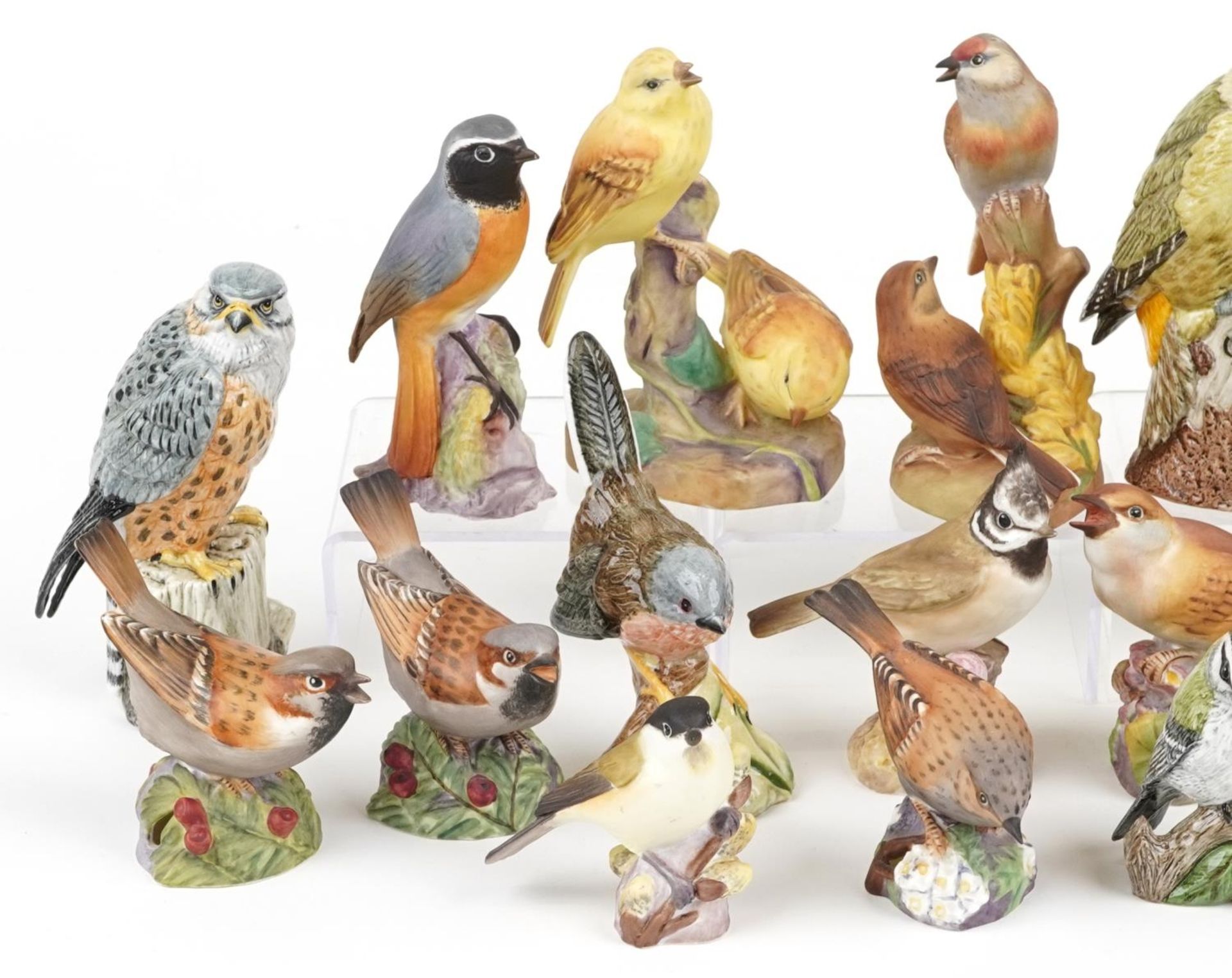 Collection of Royal Worcester and Mack hand painted porcelain birds including Redstart, Nightingale, - Bild 2 aus 4