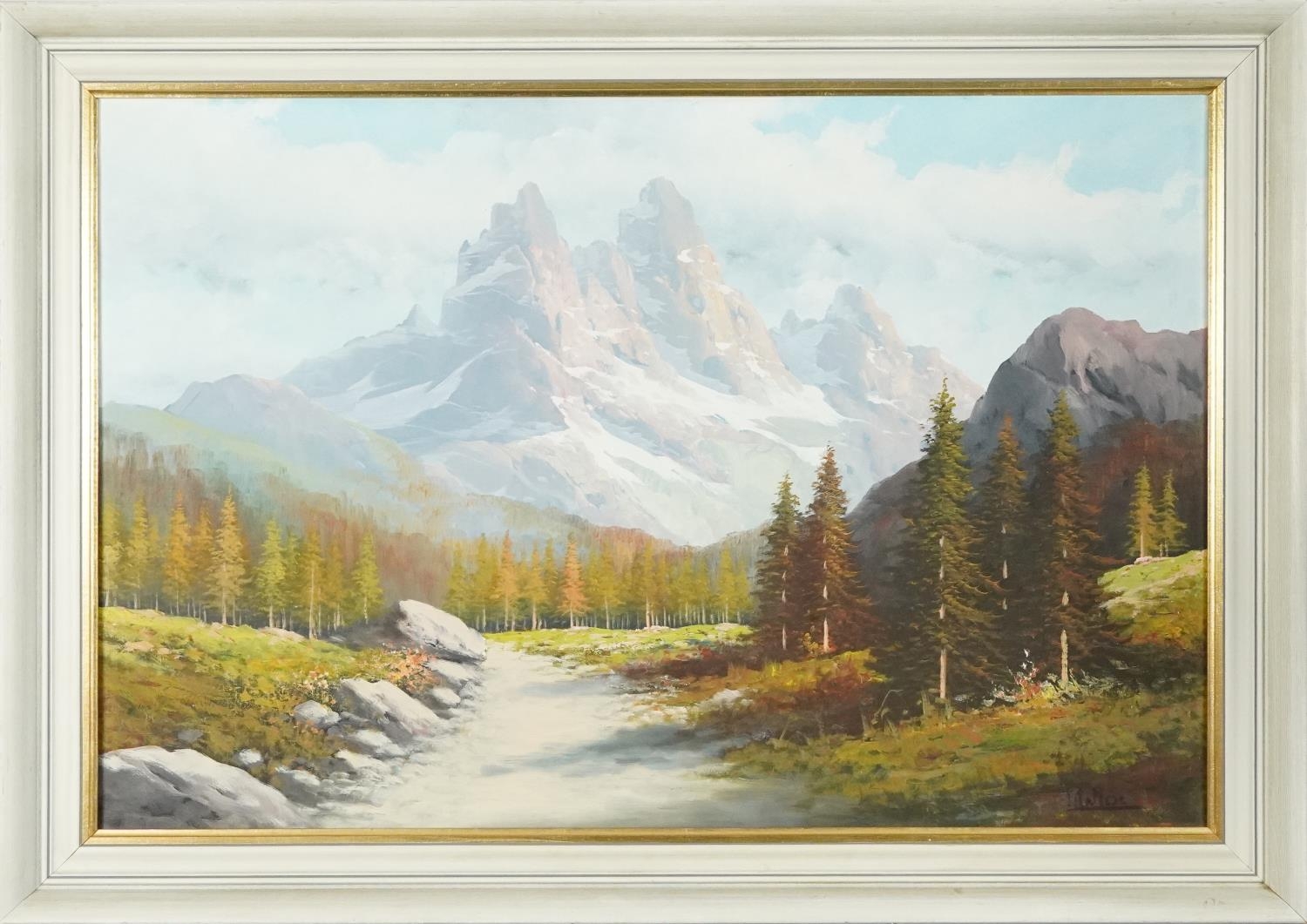 River through alpine landscape, European school oil on canvas, bearing an indistinct signature, - Image 2 of 6