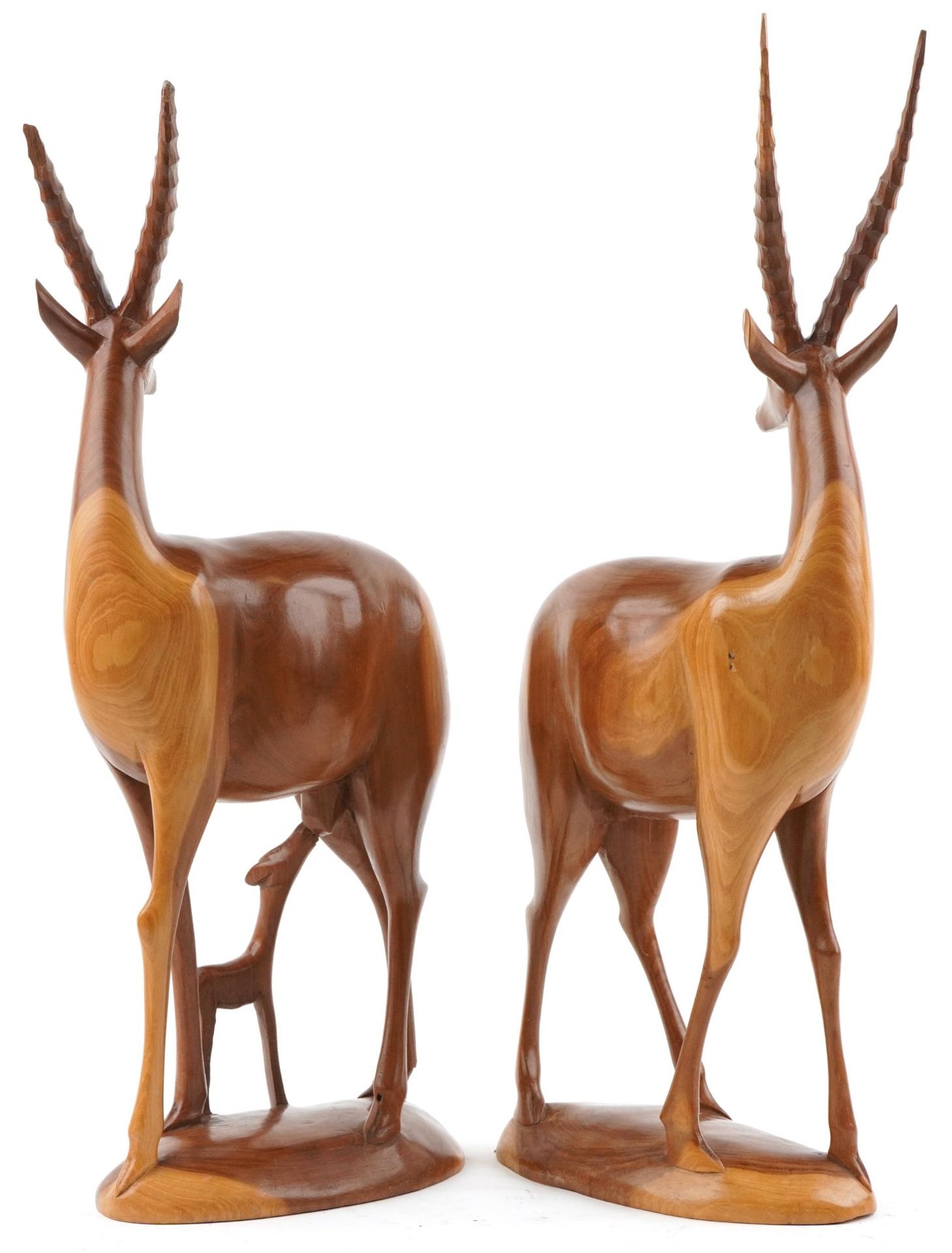 Large pair of carved hardwood antelopes, the largest 66cm high - Image 2 of 3