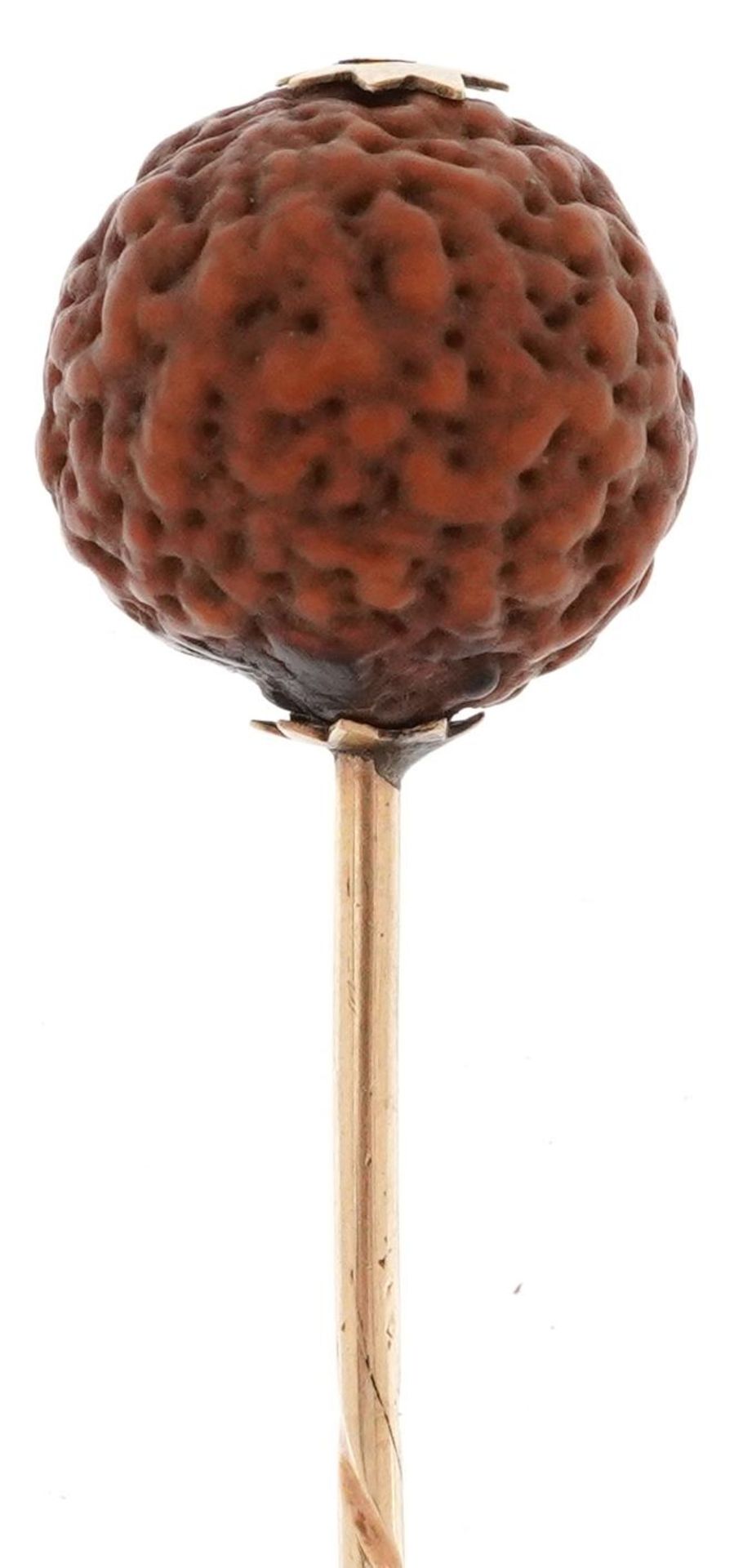 Antique rudraksha nut stickpin with fitted case, 8.5cm in length, 3.2g