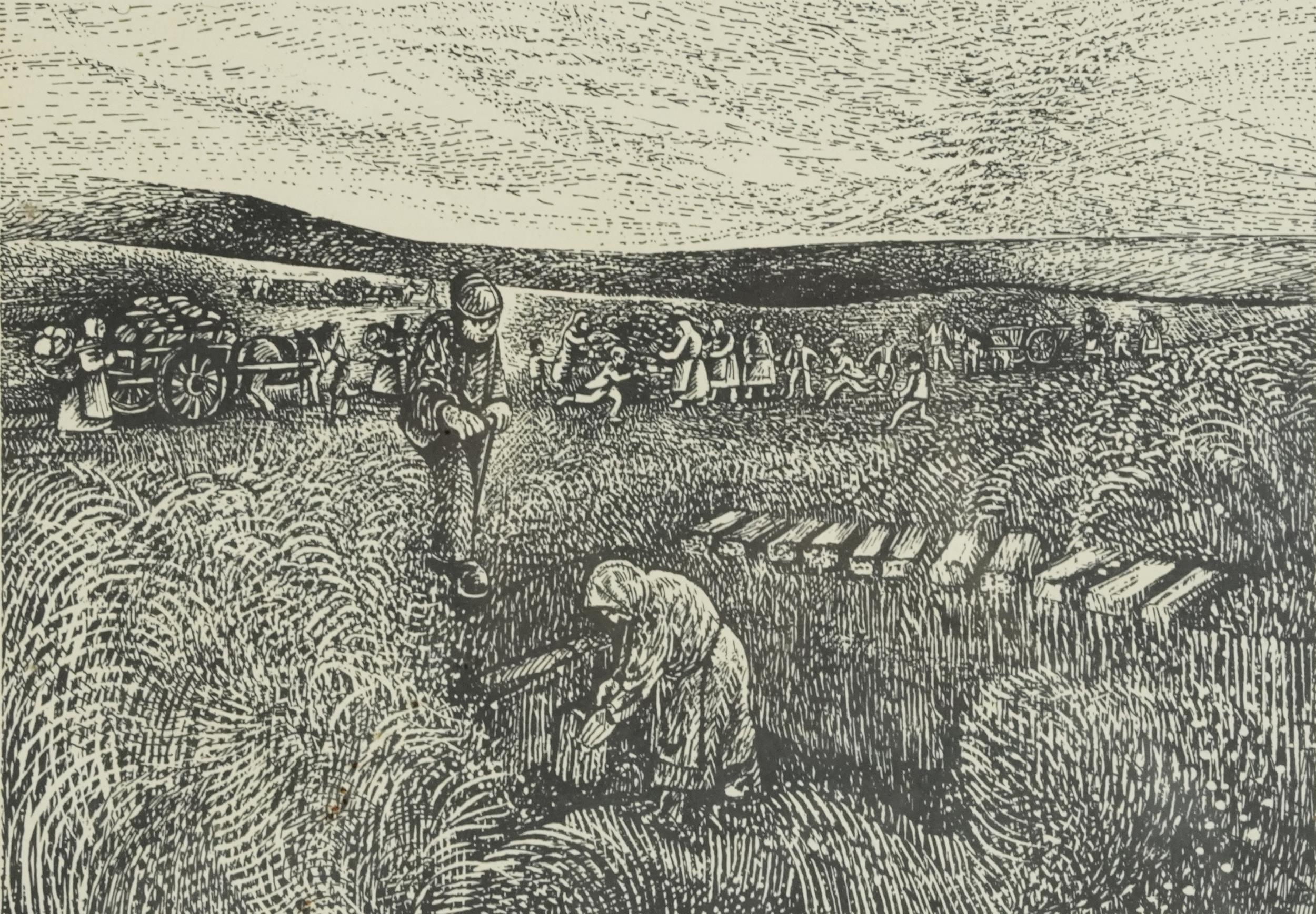 Edna Whyte - Highland Life, four pencil signed woodcuts, framed and glazed, each 30cm x 23cm - Image 7 of 20