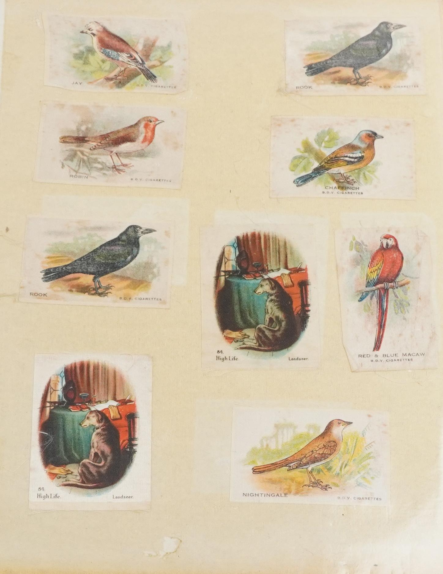 19th century and later ephemera including cigarette cards, tea cards, postcards and various books - Image 17 of 20