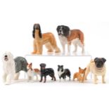 Eight Beswick collectable dogs including Hajubah of Davlen, St Bernard with matte glaze and CH