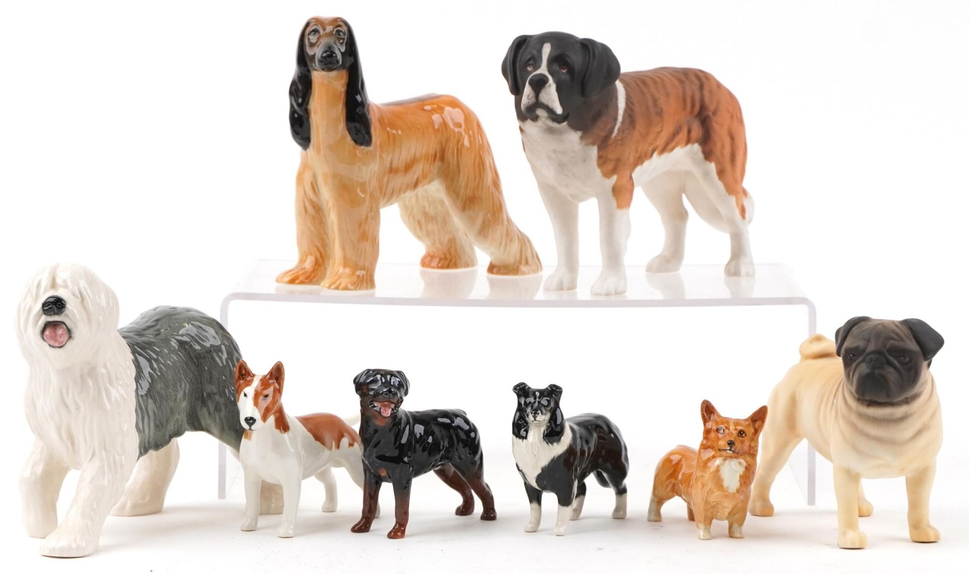 Eight Beswick collectable dogs including Hajubah of Davlen, St Bernard with matte glaze and CH