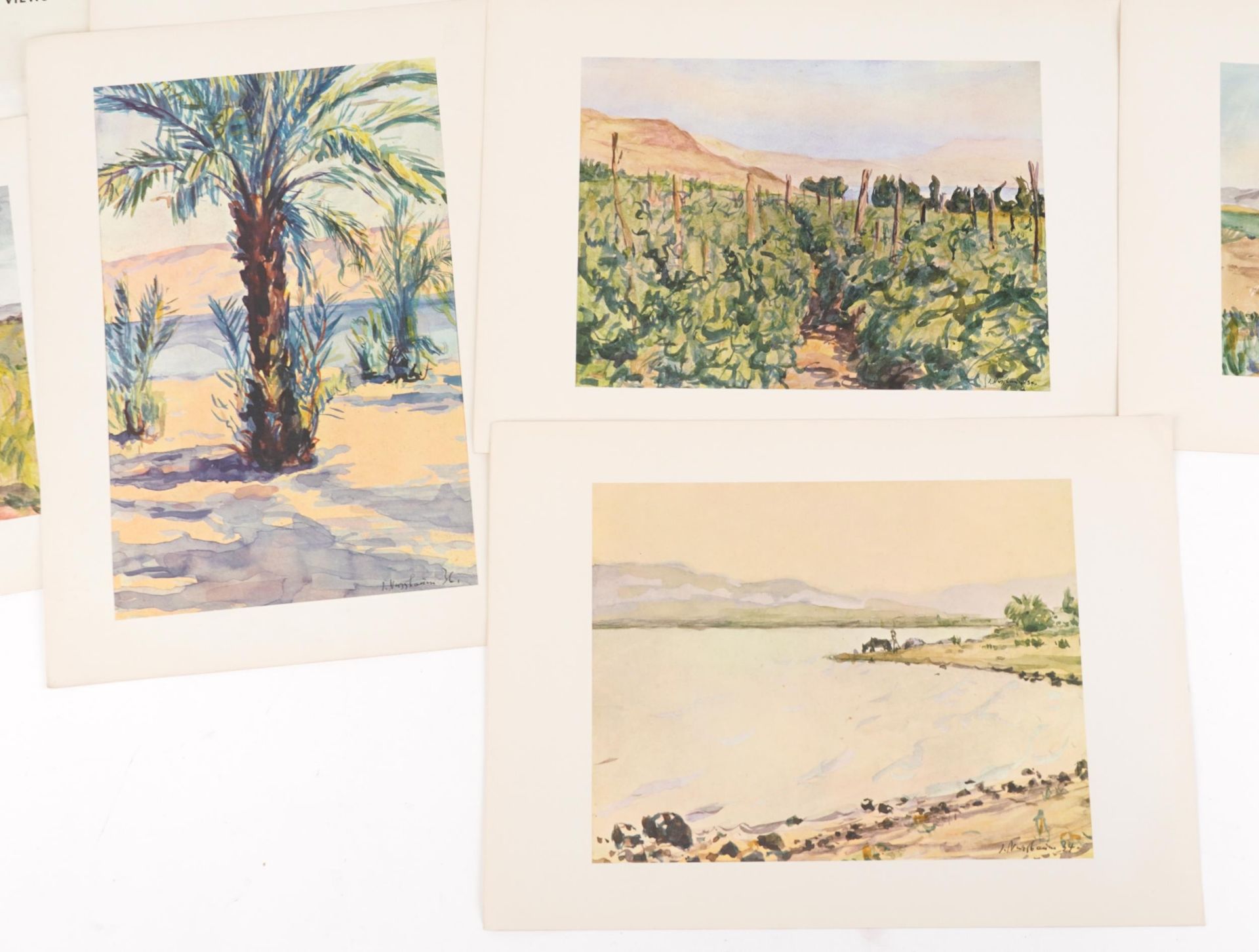 Jacob Nussbaum - Folio of eight Kinneret views, edited by Nussbaum Family 1966, printed by United - Bild 4 aus 4