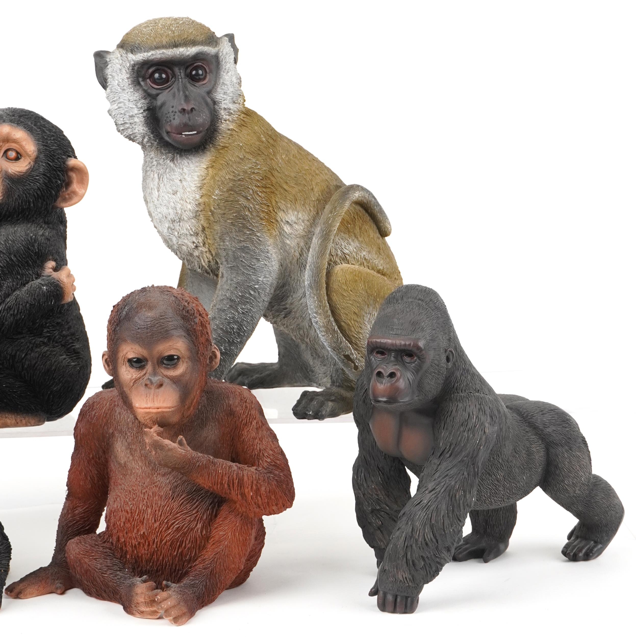 Six large hand painted model monkeys and a group of two chimpanzees, the largest 42cm high - Image 3 of 4