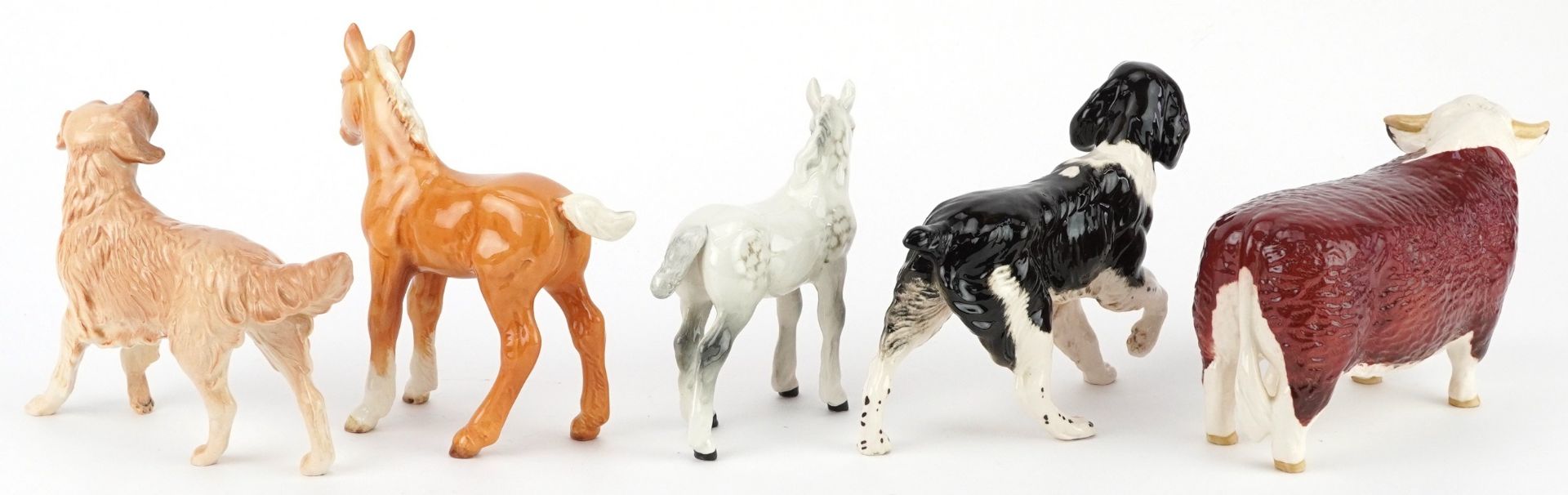 Five Beswick collectable animals including Champion of Champions bull, English Springer Spaniel - Bild 4 aus 6