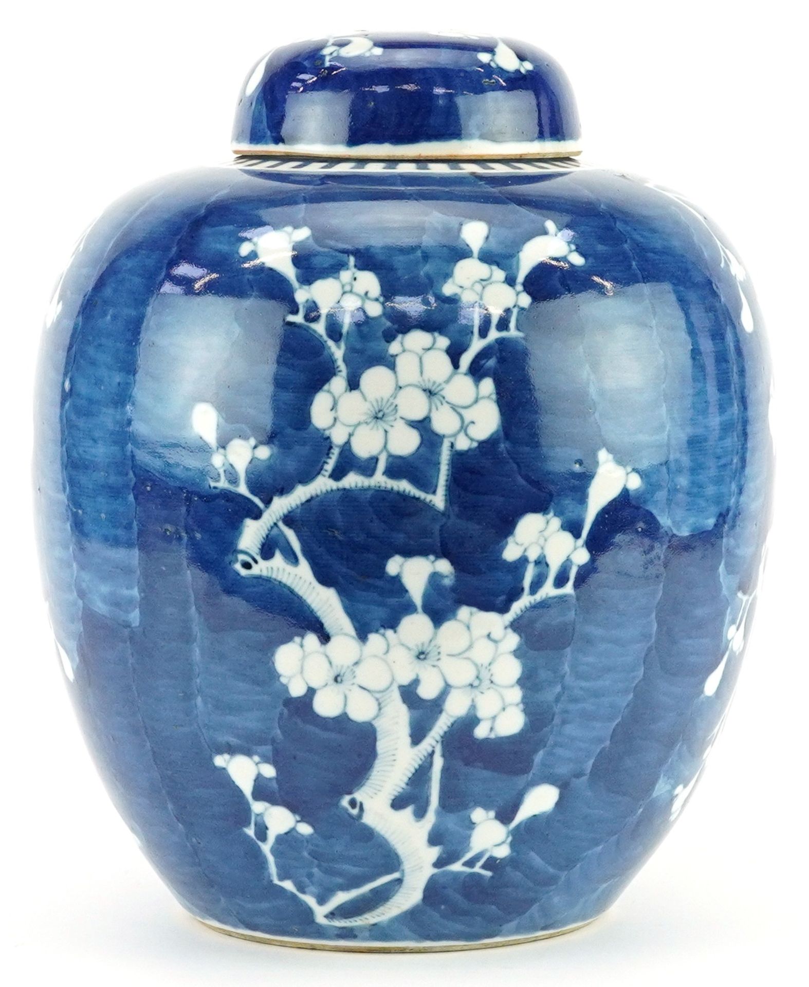 Large Chinese blue and white porcelain ginger jar and cover hand painted with prunus flowers, Kangxi - Bild 3 aus 6