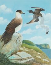 D S Harris 1992 - Coastal scene with gulls, wildlife interest watercolour, mounted, framed and