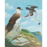 D S Harris 1992 - Coastal scene with gulls, wildlife interest watercolour, mounted, framed and