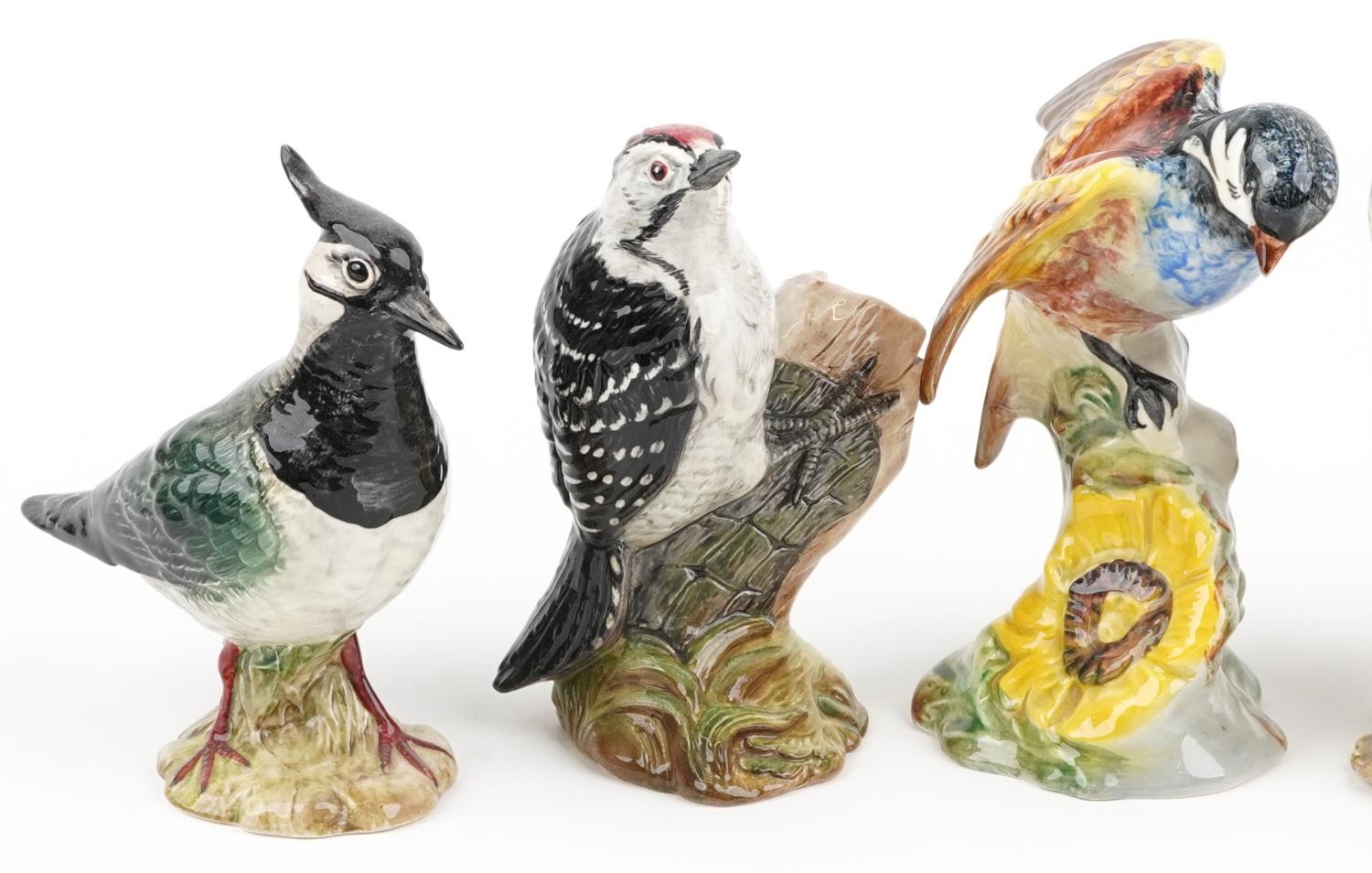 Seven Beswick birds including Jay, Lapwing and Lesser Spotted Woodpecker, the largest 17cm high - Image 2 of 5