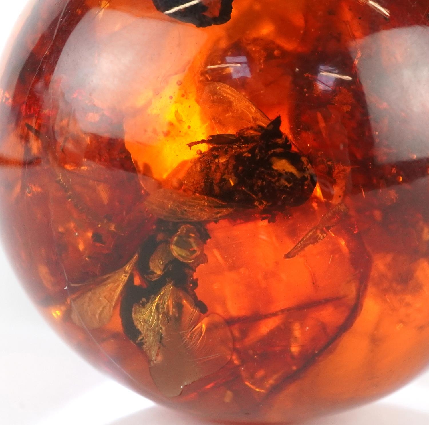 Polished natural amber sphere on stand with encased insects, 6cm high, 91.5g - Image 4 of 5