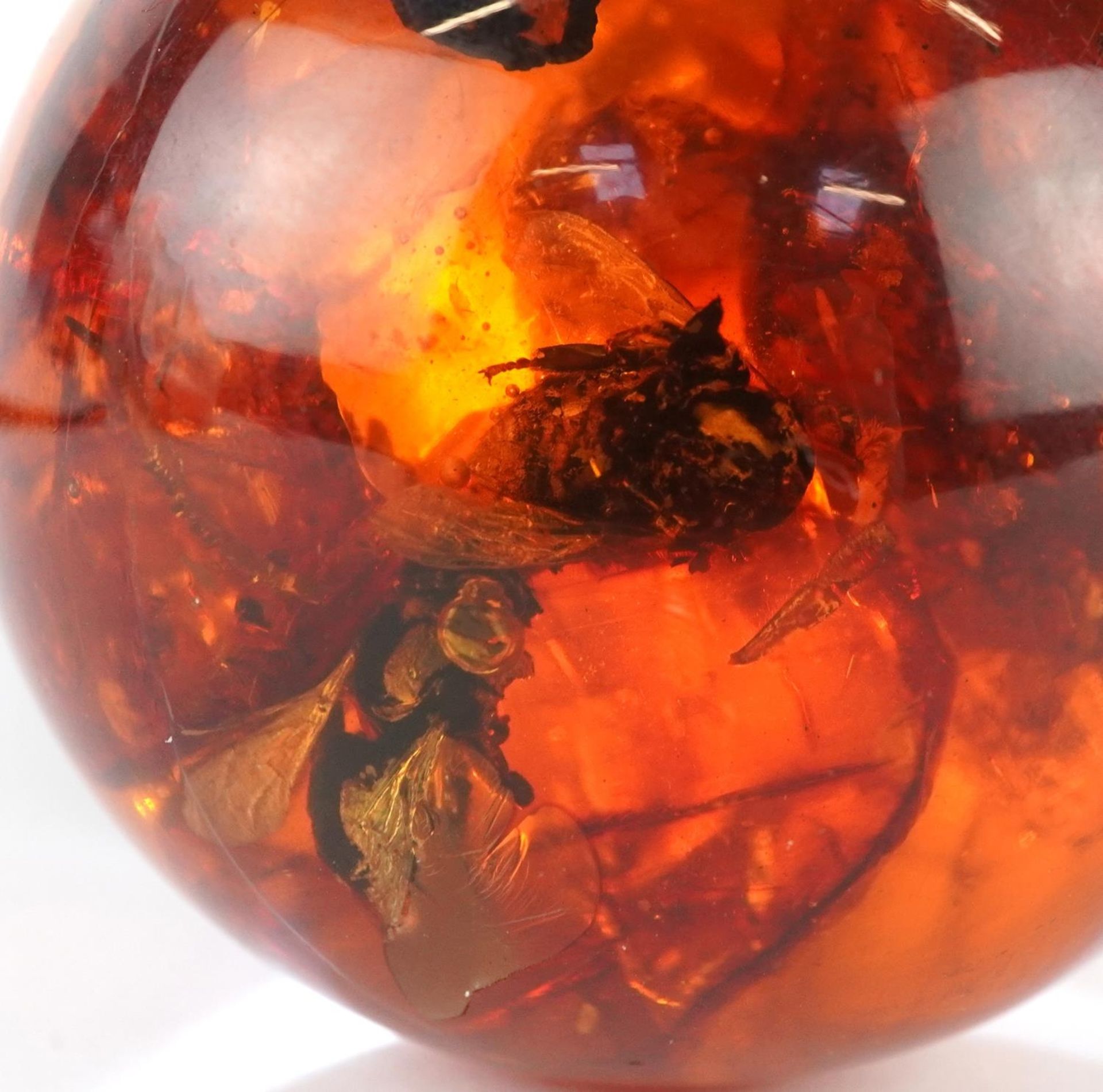 Polished natural amber sphere on stand with encased insects, 6cm high, 91.5g - Bild 4 aus 5