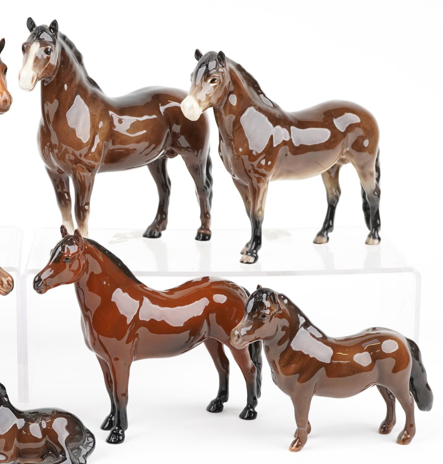 Nine Beswick collectable horses and foals, the largest 20cm in length - Image 3 of 4