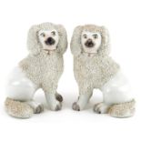 Pair of Victorian Staffordshire pottery Poodles, each 14cm high