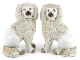 Pair of Victorian Staffordshire pottery Poodles, each 14cm high