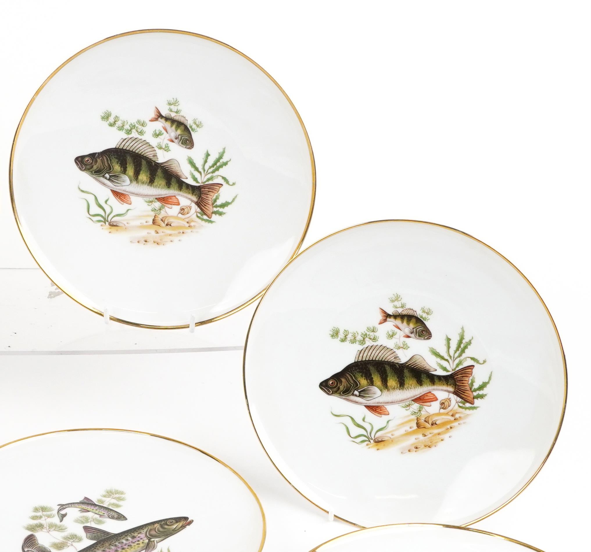 J K W Decor Carlsbad, Bavarian porcelain fish service decorated with various fish comprising - Image 3 of 6