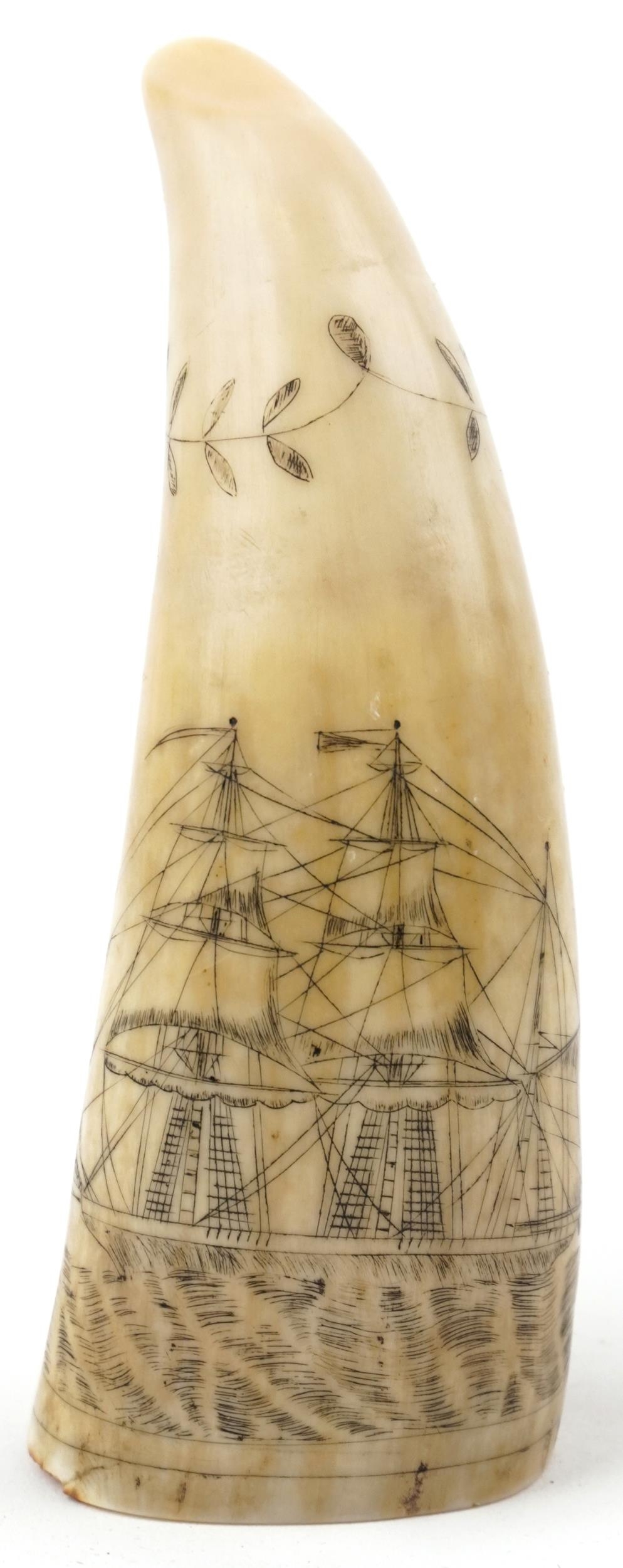 Antique sailor's scrimshaw whale's tooth engraved with whalers beside a rigged ship inscribed