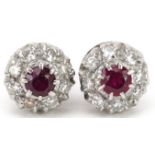 Pair of 18ct white gold ruby and diamond cluster stud earrings, each ruby approximately 3.20mm in