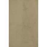 Manner of Edward Lear - Still life flowers, 19th century botanical preliminary pencil sketch with