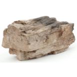 Natural history and geology interest petrified wood specimen, 18cm in length