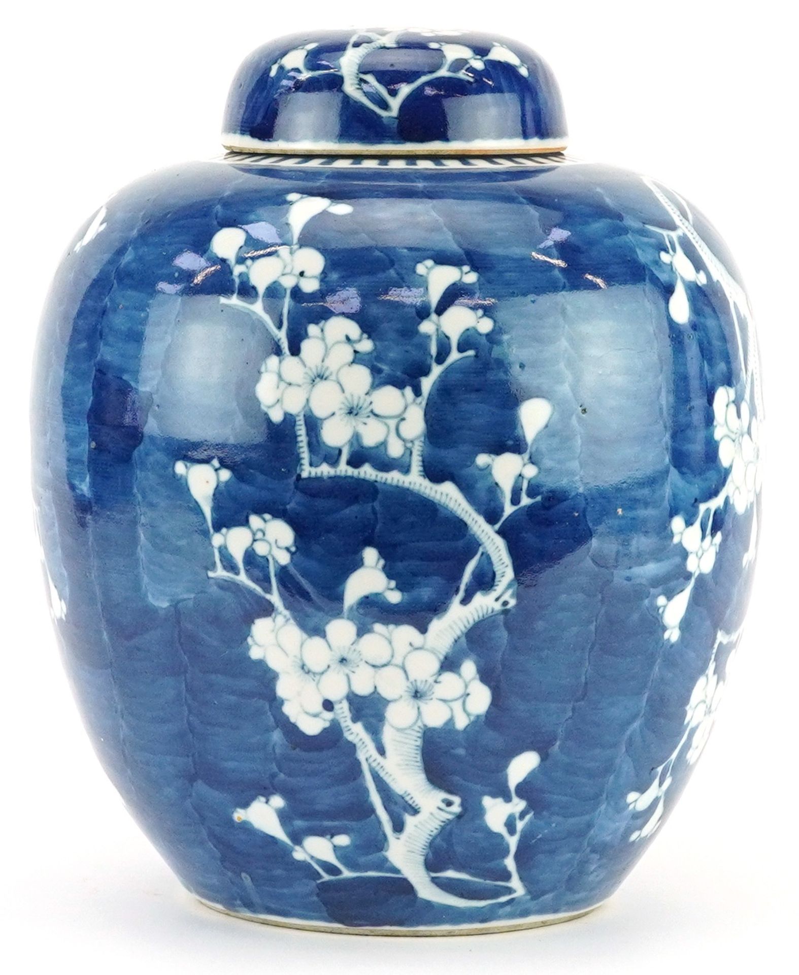Large Chinese blue and white porcelain ginger jar and cover hand painted with prunus flowers, Kangxi