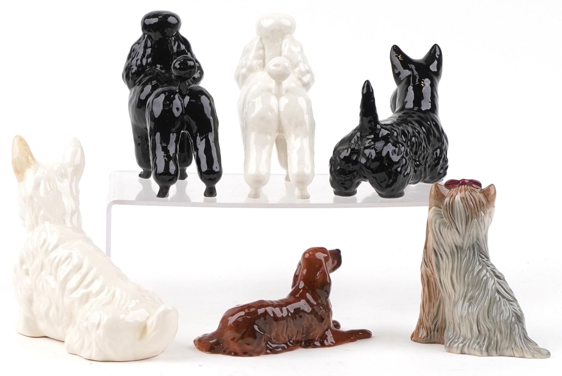 Six Beswick collectable dogs comprising two Poodles, Yorkshire Terrier, Red Setter and two Terriers, - Bild 2 aus 5