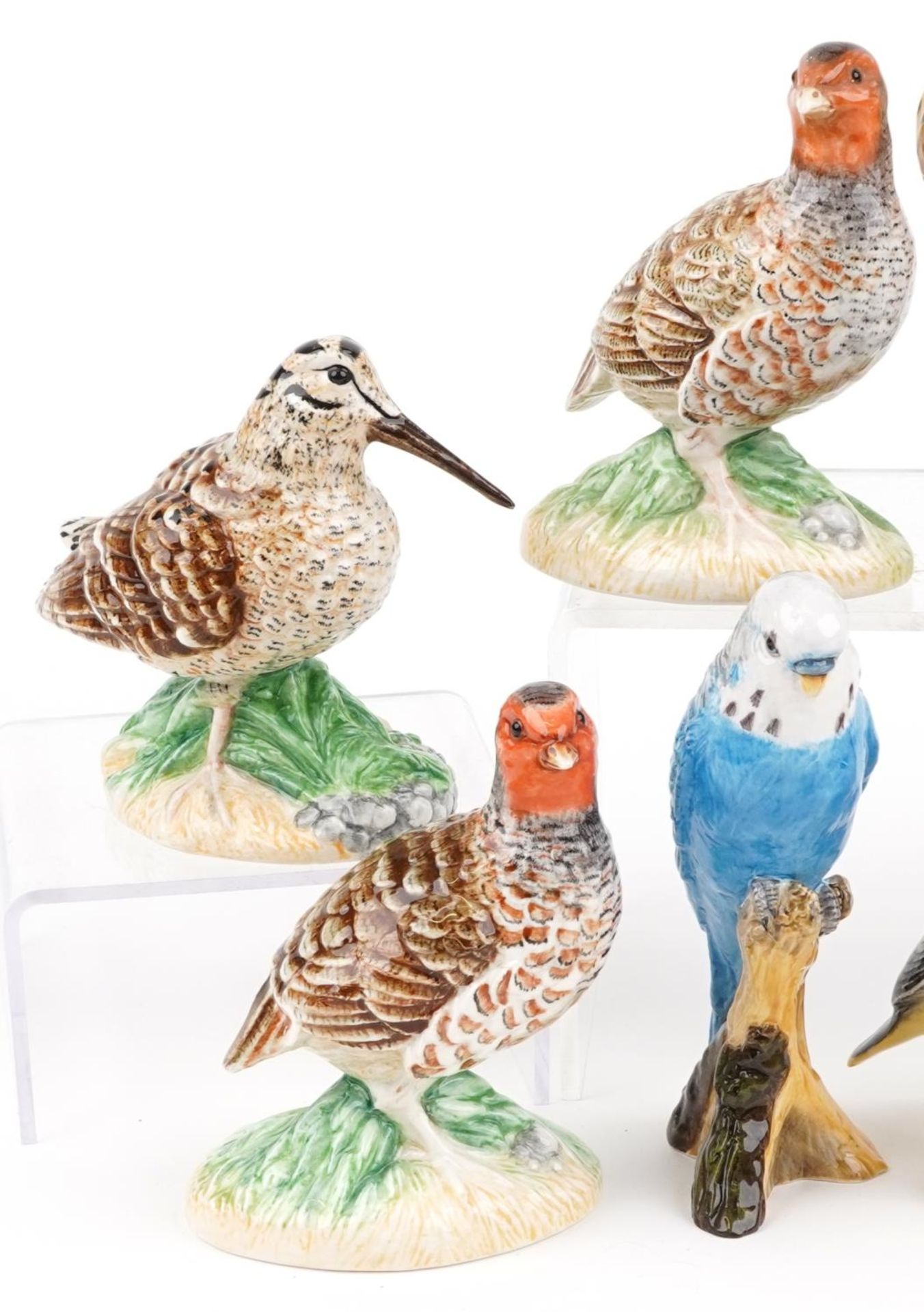 Ten Beswick birds including a Puffin, Eagle and Grouse, the largest 12.5cm wide - Bild 2 aus 4