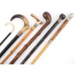 Five walking sticks to include including a gnarled wood club style, two horn handled, possibly