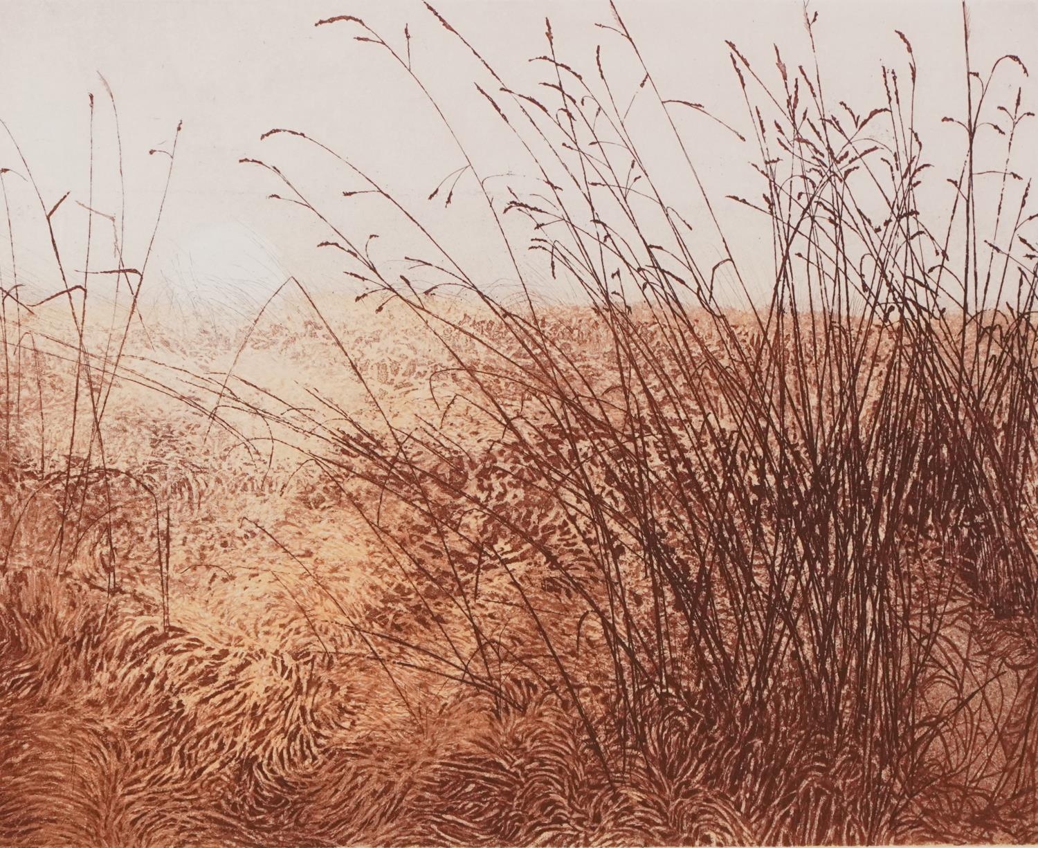 Phil Greenwood - White Sun and Border Country, two pencil signed etchings and aquatints with - Image 6 of 10