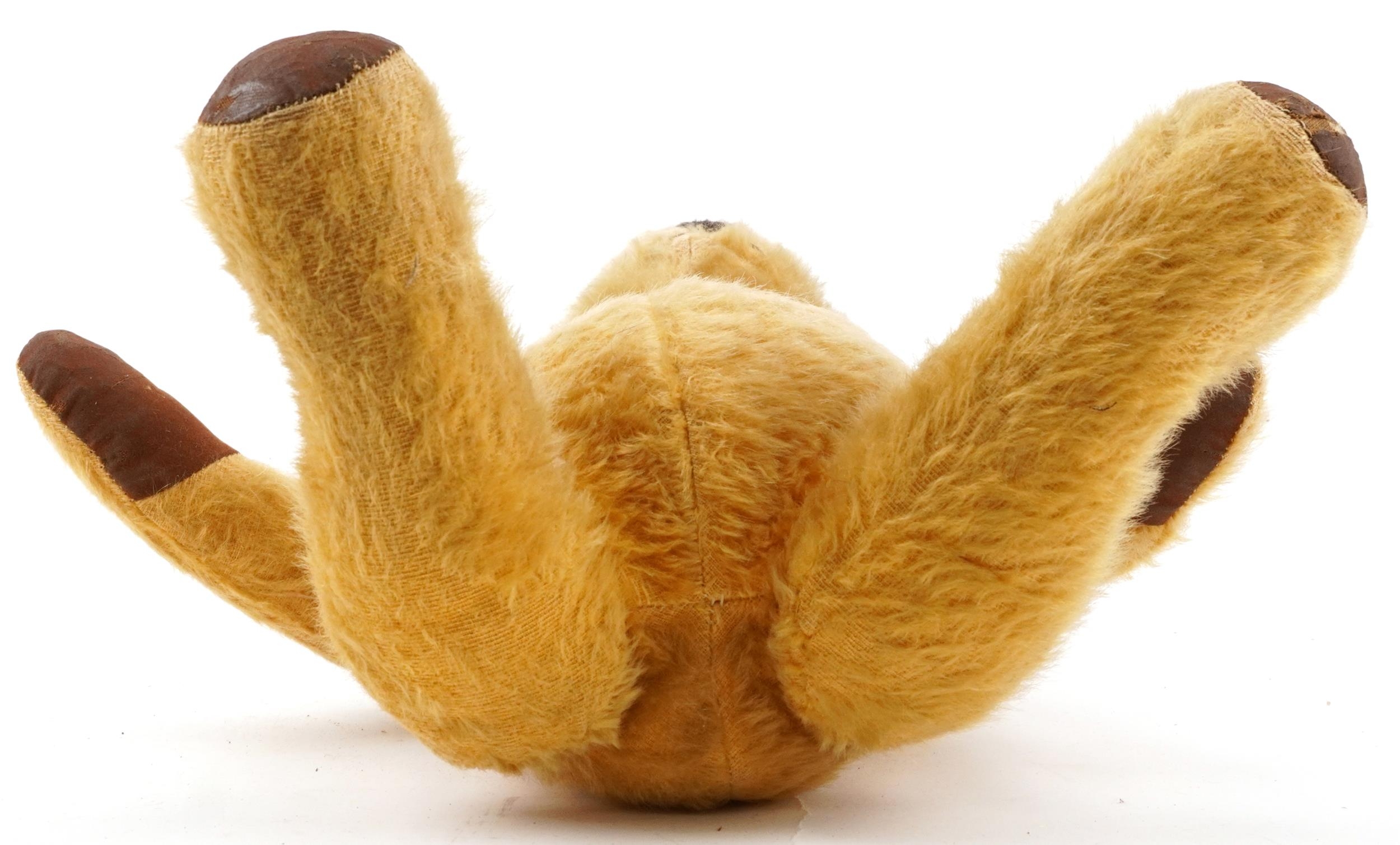 Early 20th century golden straw filled teddy bear with growler and jointed limbs, 44cm high - Image 3 of 3