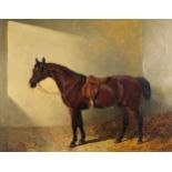 J F Herring Sen. 1846 - Bobby, horse in a stable, oil onto mahogany panel mounted in gilt frame,